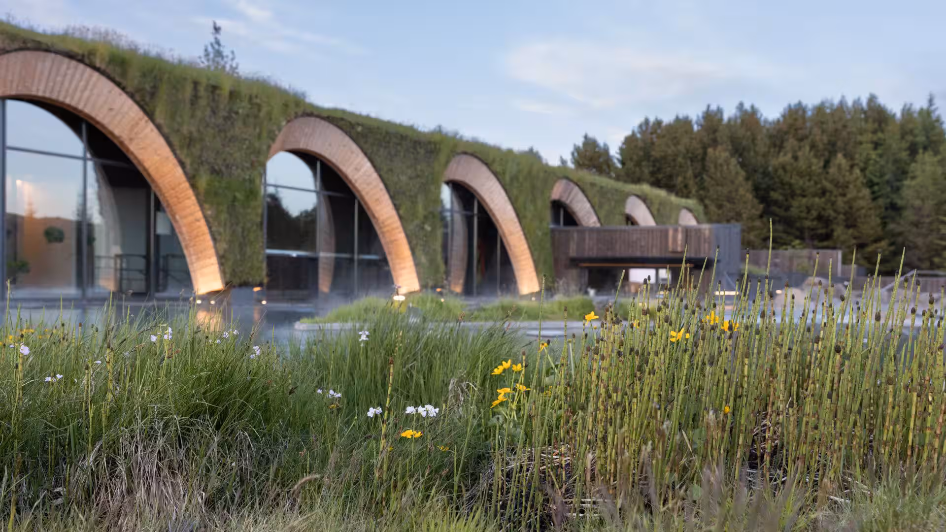 The arched, grass-roofed buildings of Laugarás Lagoon behind wildflowers