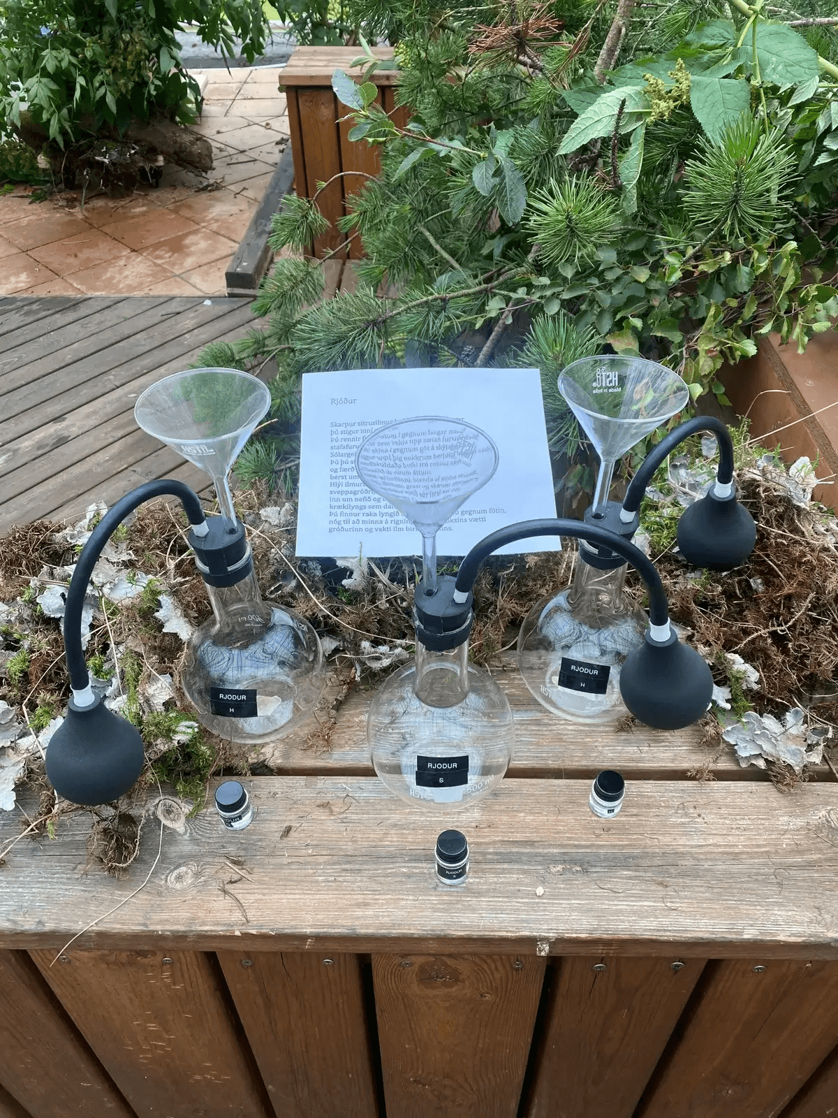 Glass funnels and bottles on a wooden table among moss and herbs