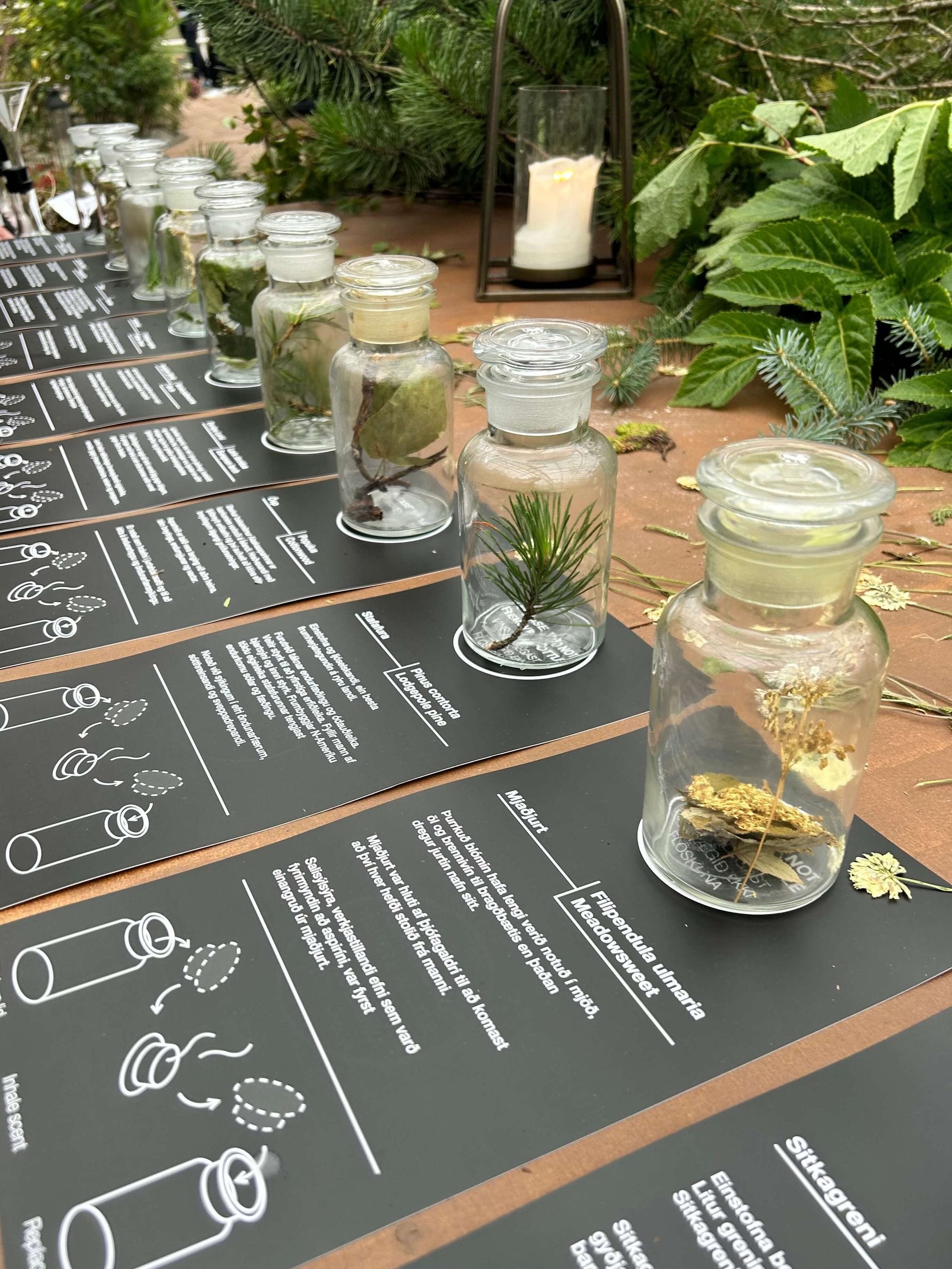 Glass jars of Icelandic herbs on a dark mat with printed notes